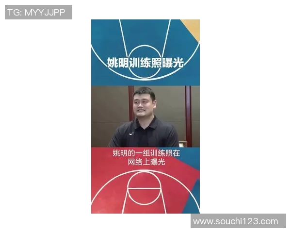 平视姚明下载体验：探索中国篮球巨星的成长与影响力