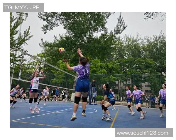 张敏亲自分享排球技巧与心得体会助你提升竞技水平